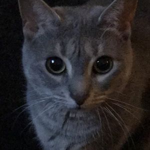 Meet your Posher, Thomas